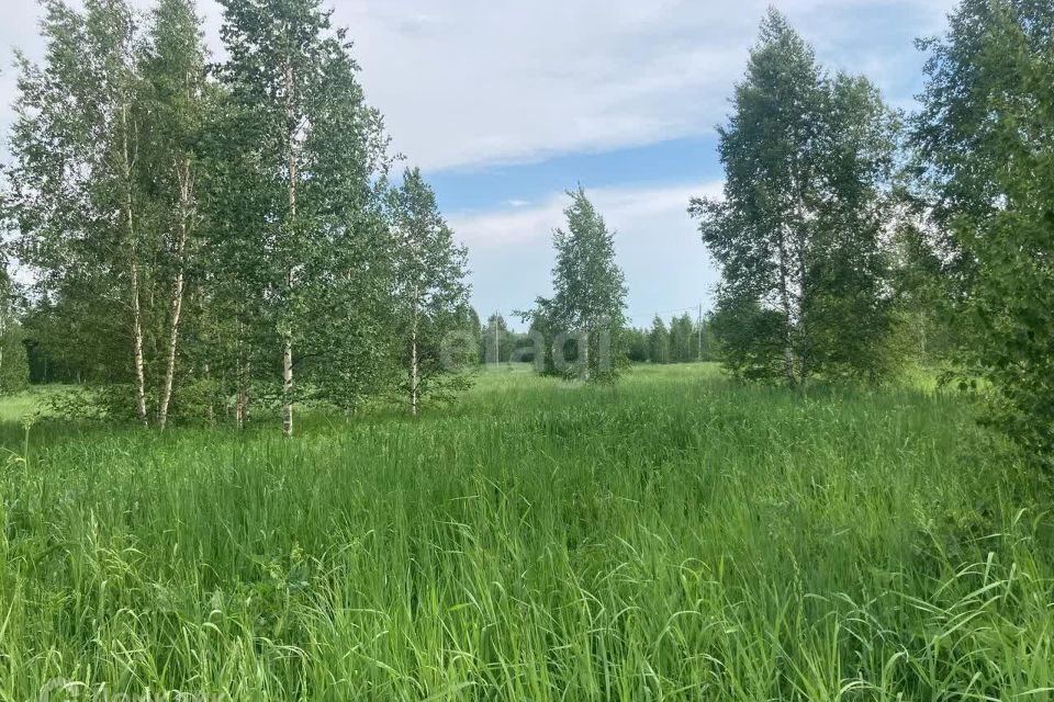 земля городской округ Ревда, село Кунгурка фото 1