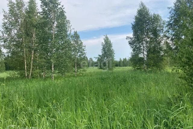 городской округ Ревда, село Кунгурка фото