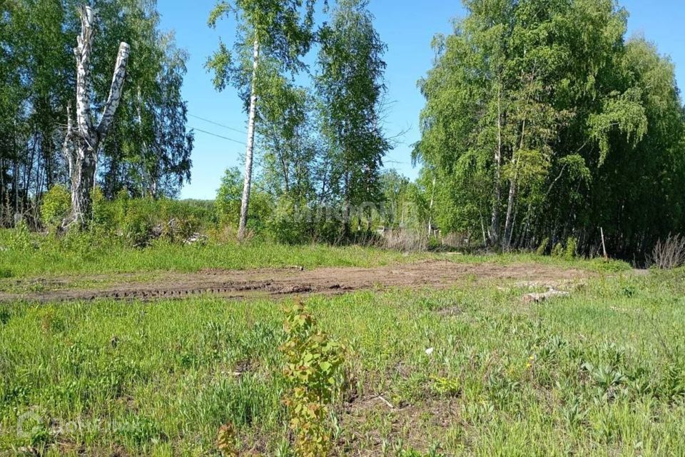 земля рп Кольцово рп. Кольцово городской округ, Кольцевая фото 1