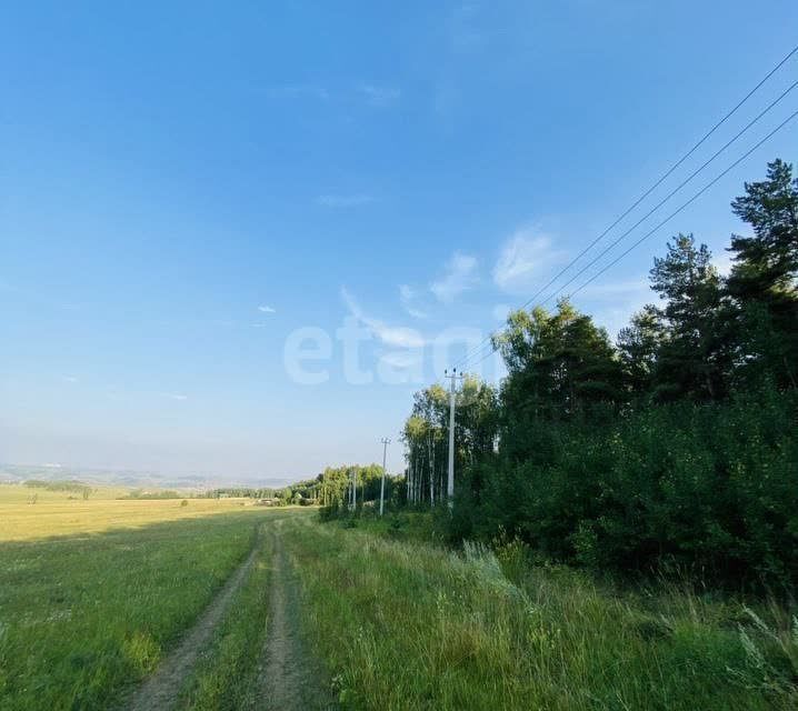 земля р-н Емельяновский фото 1