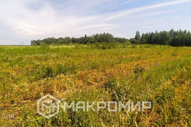 земля деревня Бутики фото