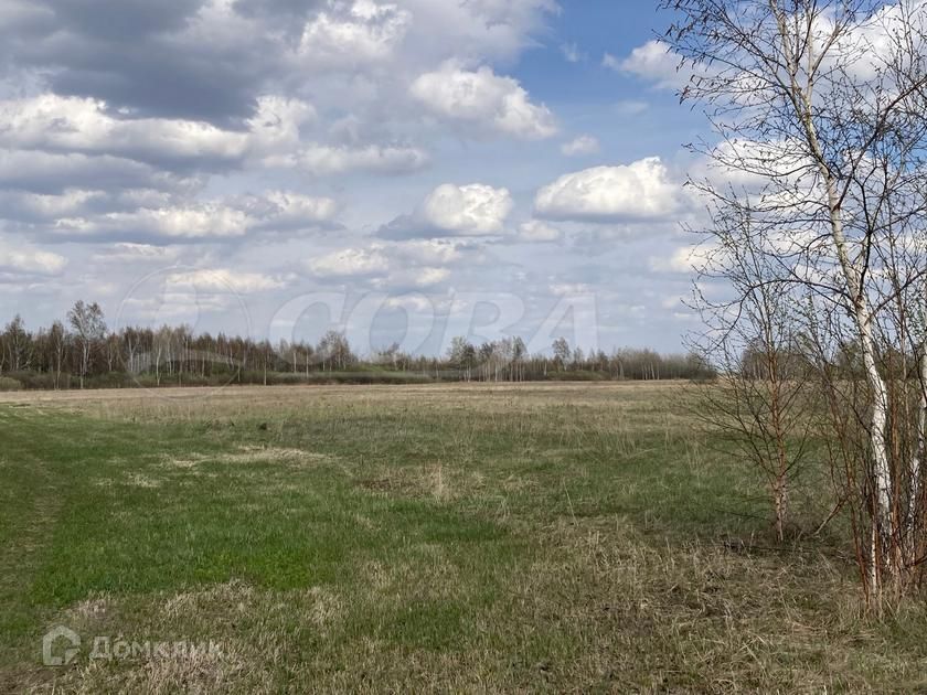 земля г Тюмень городской округ Тюмень, Ленинский округ фото 3