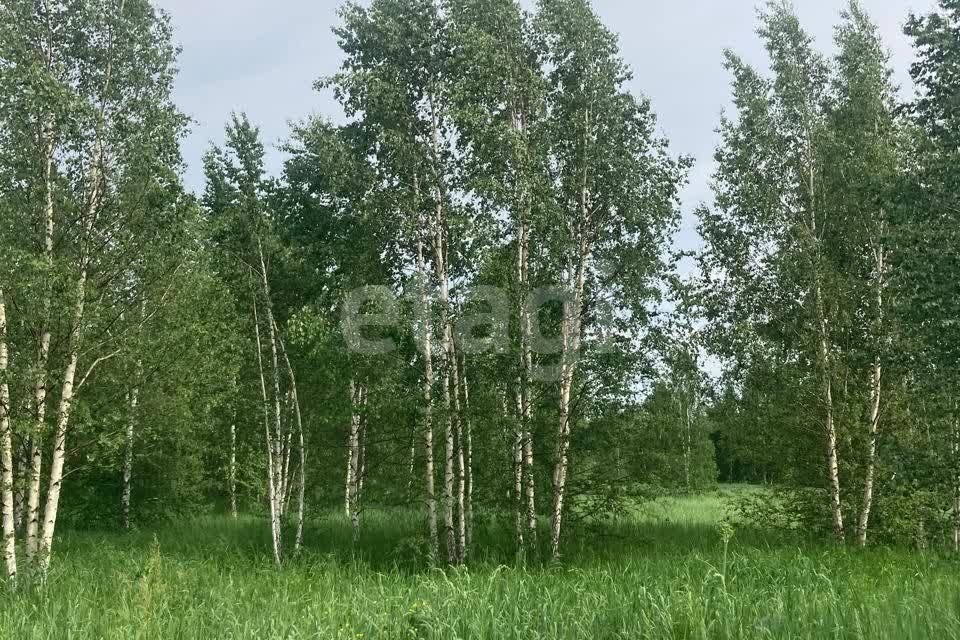 земля городской округ Ревда, село Кунгурка фото 4