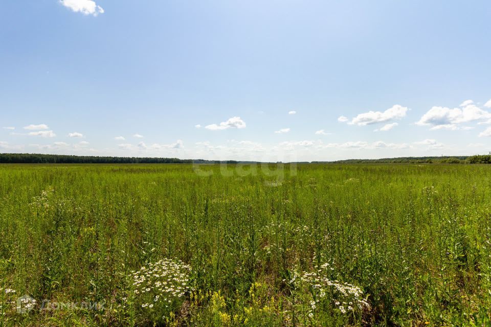 земля р-н Тюменский село Кулига фото 4