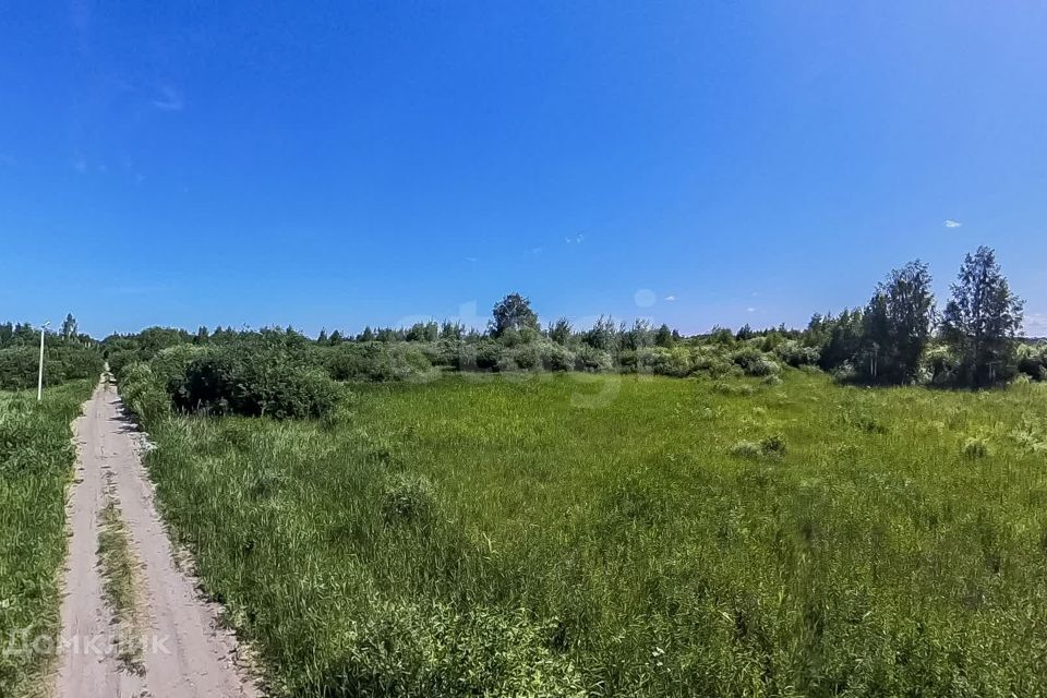 земля г Тюмень городской округ Тюмень, садовое товарищество Поле Чудес фото 8