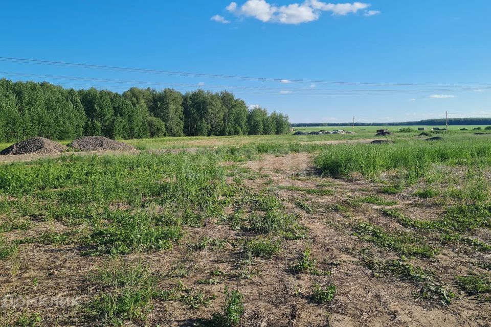 земля р-н Тюменский село Каменка фото 6