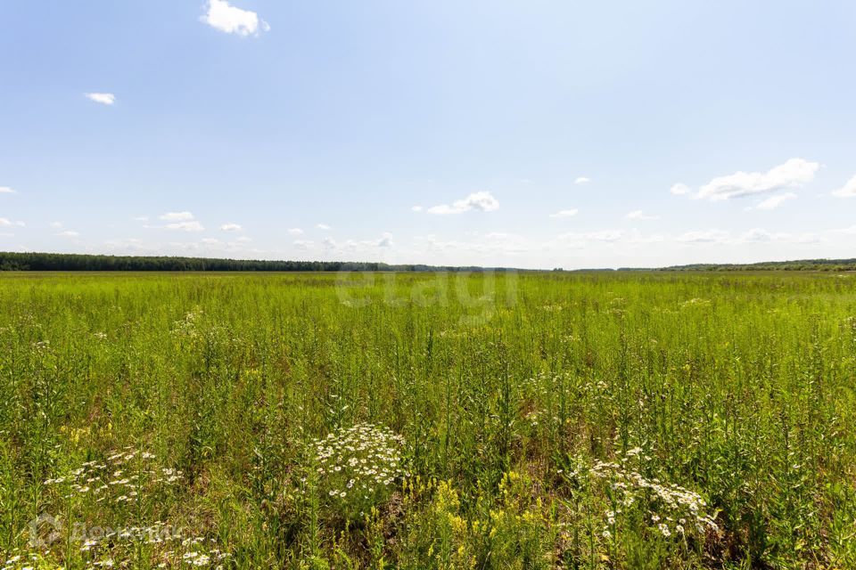 земля р-н Тюменский село Кулига фото 6