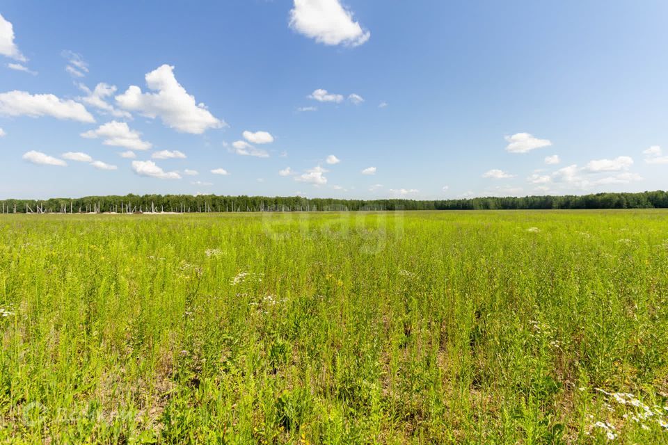 земля р-н Тюменский село Кулига фото 9