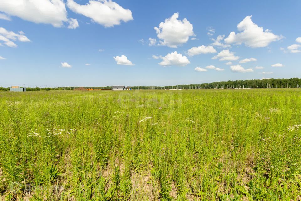 земля р-н Тюменский село Кулига фото 10