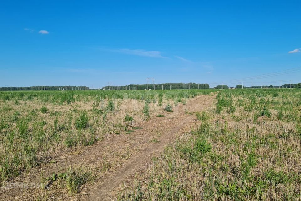 земля р-н Тюменский село Каменка фото 8