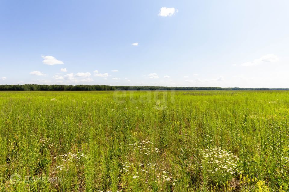 земля р-н Тюменский село Кулига фото 7