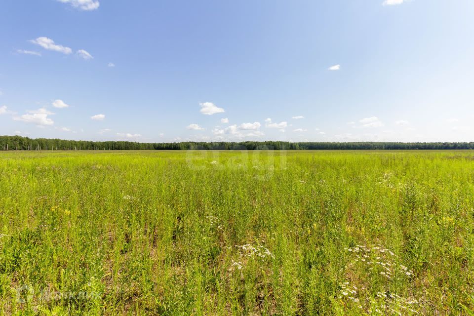 земля р-н Тюменский село Кулига фото 8