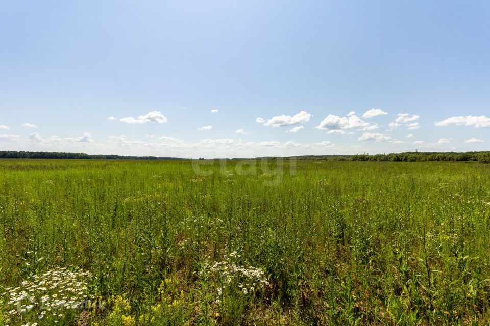 земля р-н Тюменский село Кулига фото 5