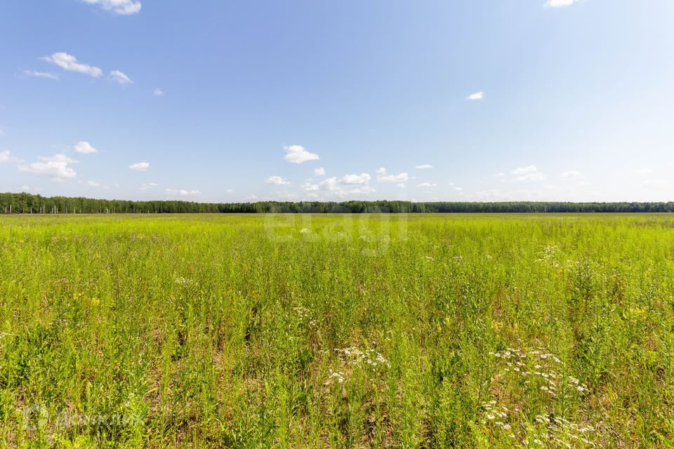 земля р-н Тюменский село Кулига фото 8