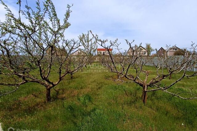 ул Бутаревского Республика Адыгея Адыгея, городской округ Майкоп фото