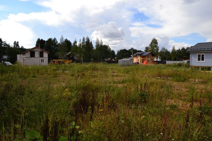 земля г Пушкино Заветы Ильича ул Садовая городской округ Пушкинский фото 2