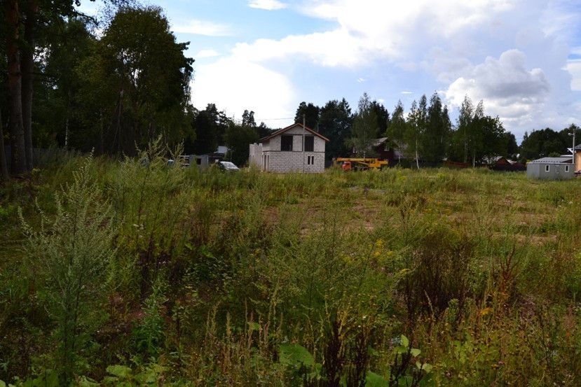 земля г Пушкино Заветы Ильича ул Садовая городской округ Пушкинский фото 4