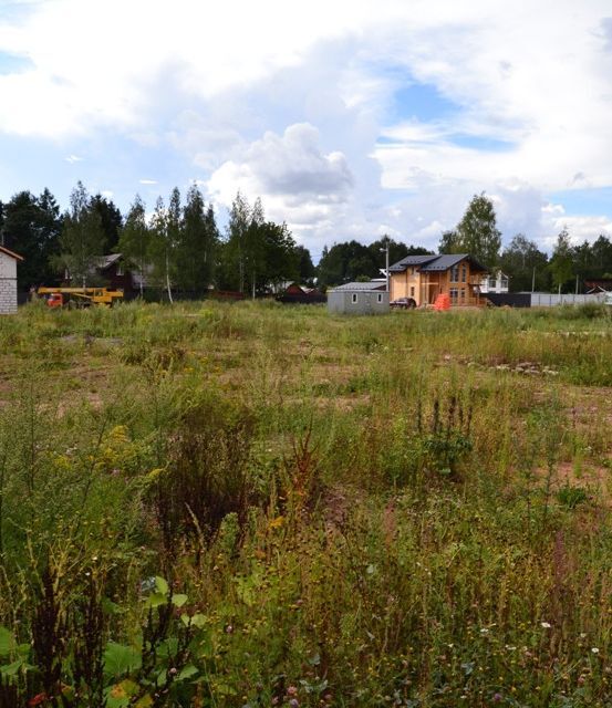 земля г Пушкино Заветы Ильича ул Садовая городской округ Пушкинский фото 8