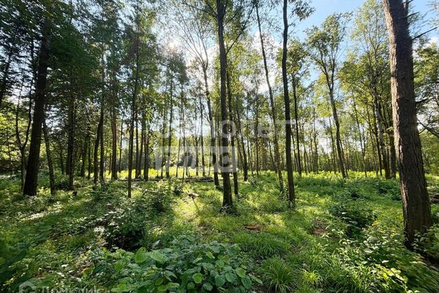 земля микрорайон Ровки, городской округ Чехов фото