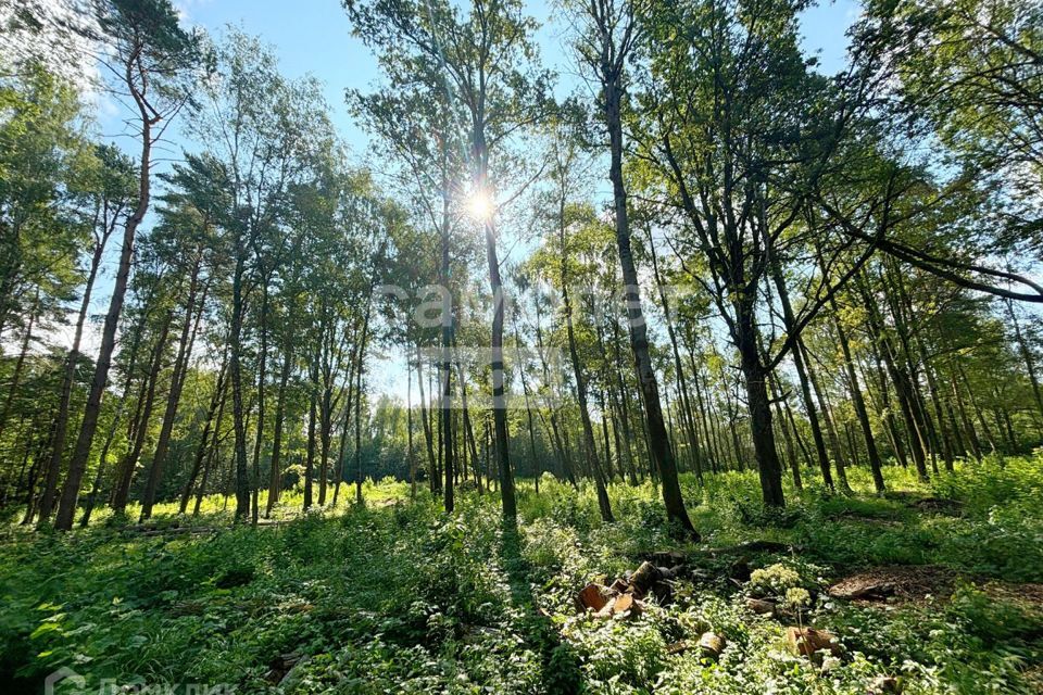 земля г Чехов микрорайон Ровки, городской округ Чехов фото 3