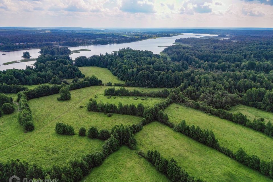 земля р-н Приозерский фото 2