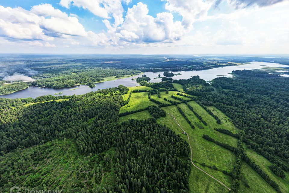 земля р-н Приозерский фото 4