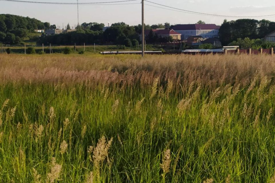 земля городской округ Серебряные Пруды посёлок Дмитриевский фото 3