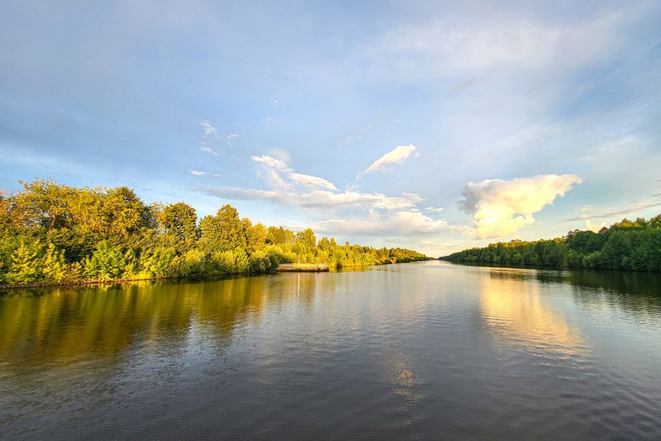 земля городской округ Талдомский СНТ Зорька фото 7