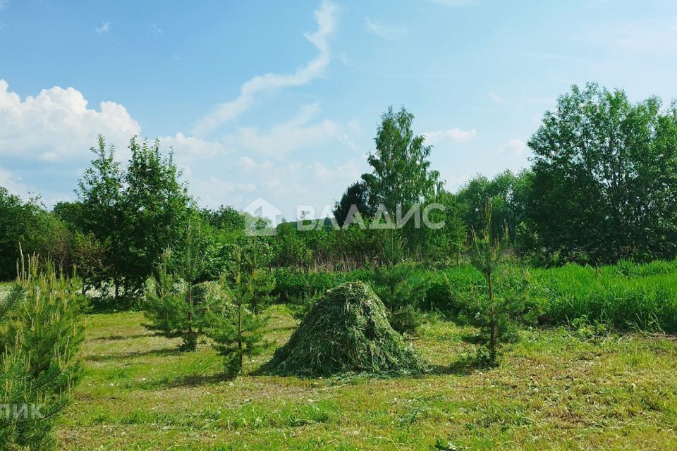 земля городской округ Луховицы село Троицкие Борки фото 6