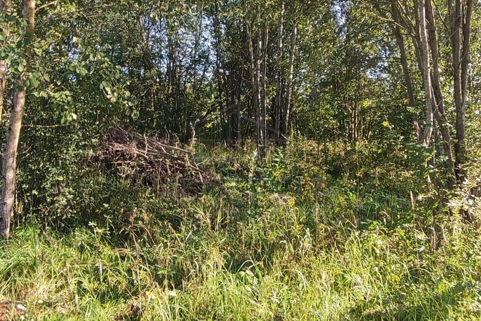 земля г Сергиев Посад микрорайон Ферма, Сергиево-Посадский городской округ фото 10