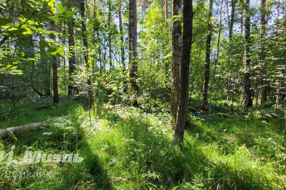 земля городской округ Раменский деревня Шмелёнки фото 6