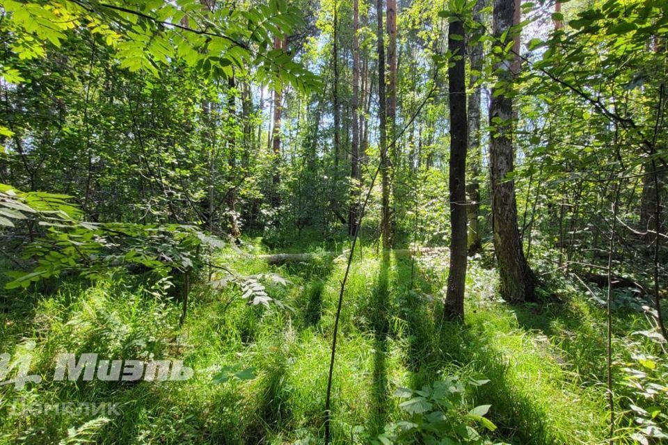 земля городской округ Раменский деревня Шмелёнки фото 8