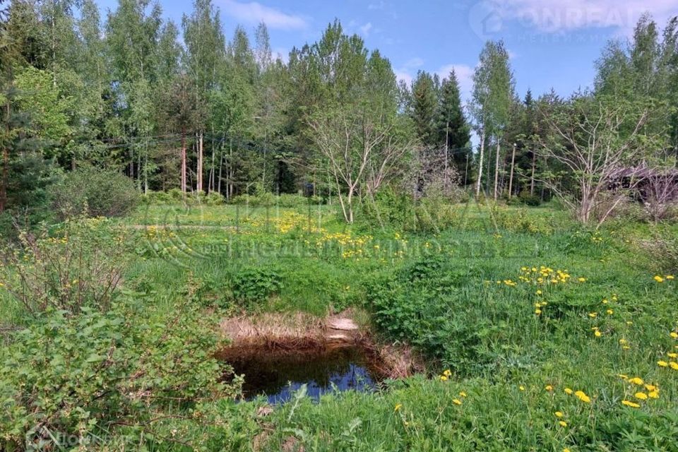 земля р-н Приозерский садоводческое некоммерческое товарищество Вайсиёки фото 7