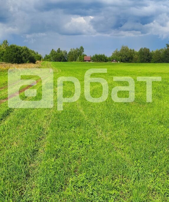 земля р-н Дальнеконстантиновский фото 3