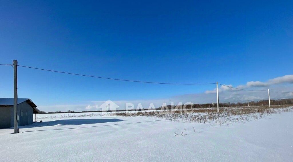 дом р-н Городецкий д. Ковригино Ковригинский сельсовет, ул. Школьная фото 28