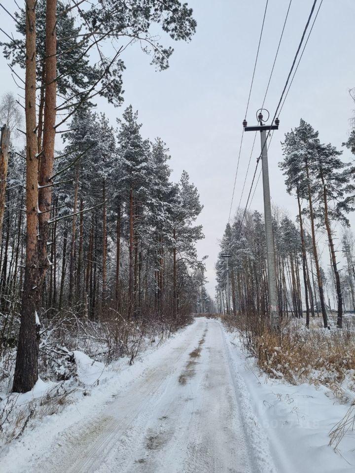 земля городской округ Раменский с Речицы Лесная улица фото 1