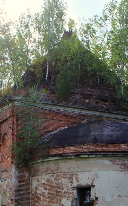 земля городской округ Дмитровский п Подосинки фото 19