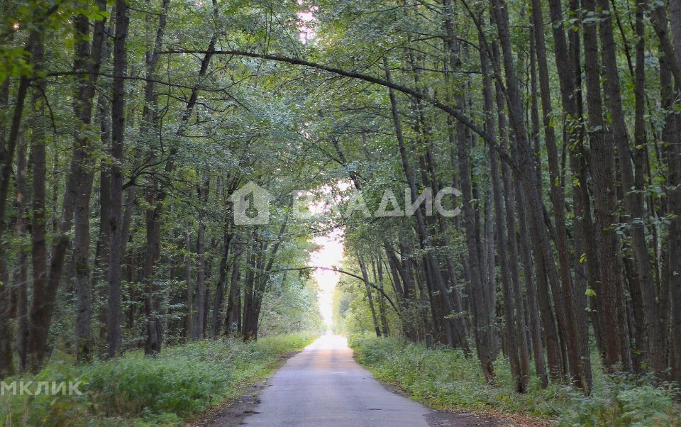 земля городской округ Раменский п Гжелка территория Самар-1 фото 3