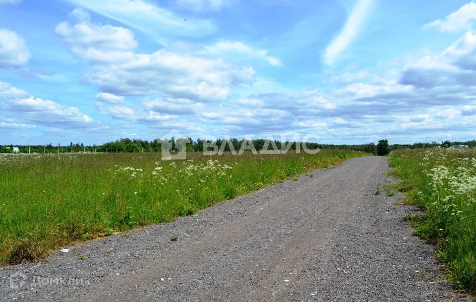 земля городской округ Раменский СНТ Коптево фото 3