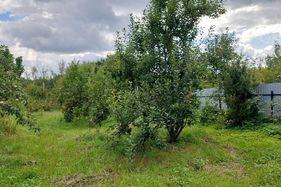 земля городской округ Луховицы с Алпатьево 100 фото 3