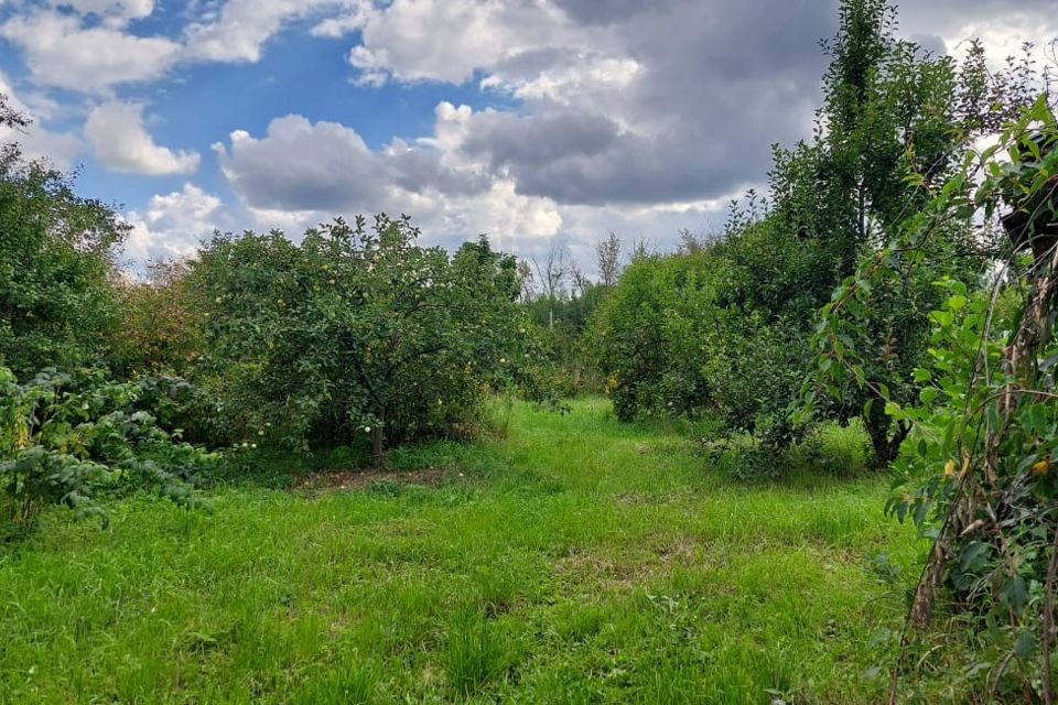 земля городской округ Луховицы с Алпатьево 100 фото 7