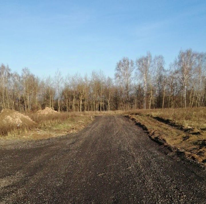 земля городской округ Раменский д Старниково 3 фото 4