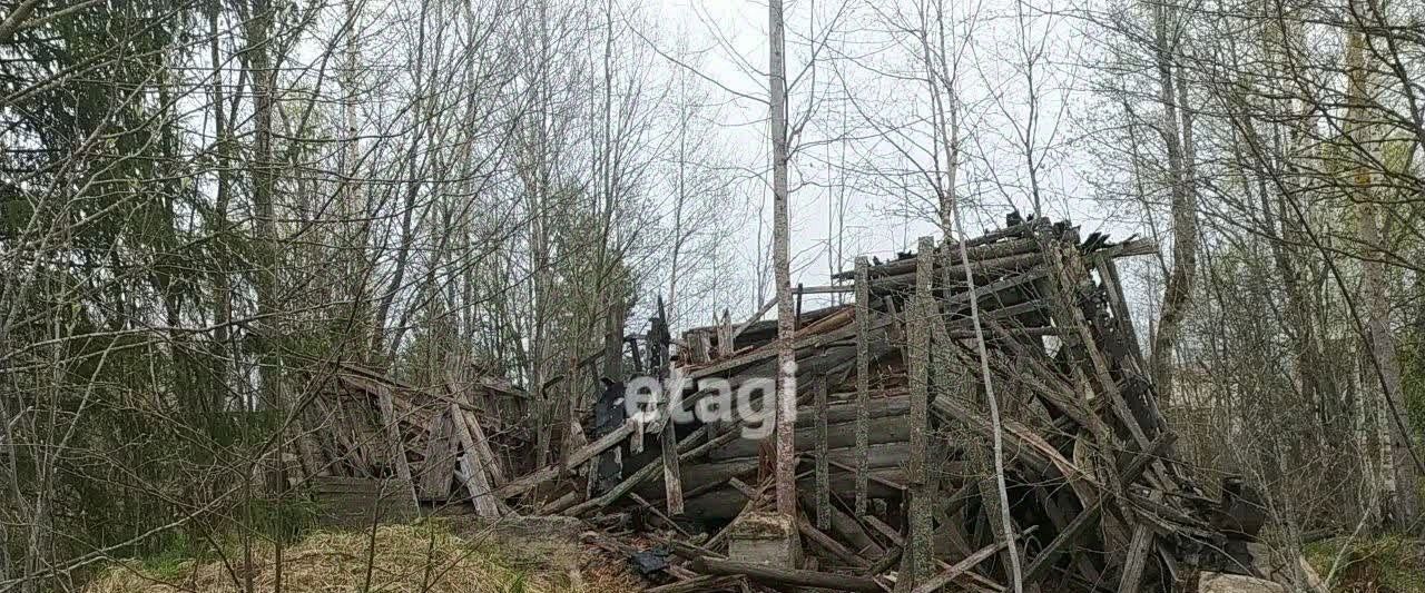 земля р-н Гатчинский массив Новинка снт Эрудит 182 фото 11