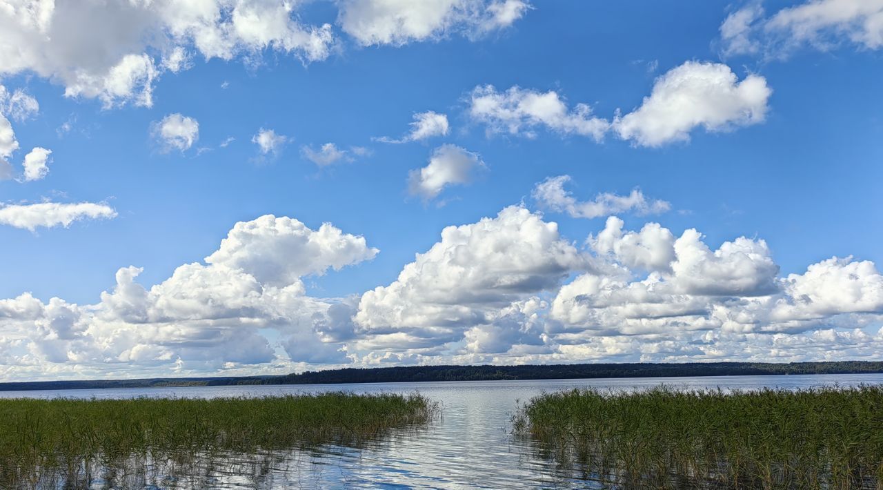 земля р-н Приозерский Плодовское с/пос, Молодежное кп фото 2