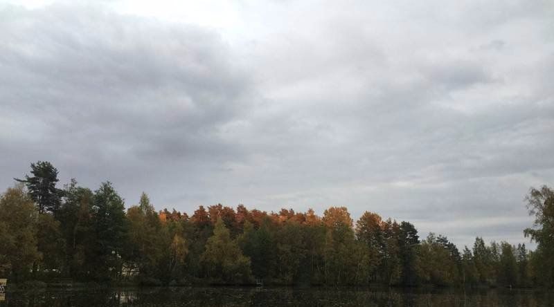 земля р-н Приозерский Плодовское с/пос, Молодежное кп фото 4