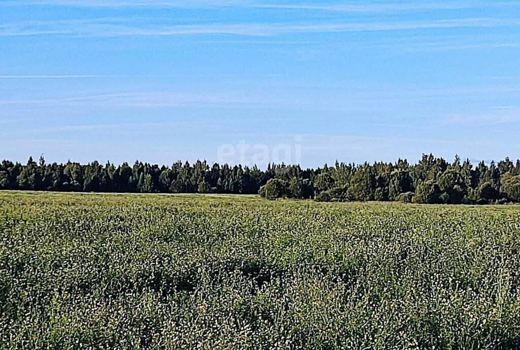 земля р-н Псковский д Ершово ул Школьная фото 1