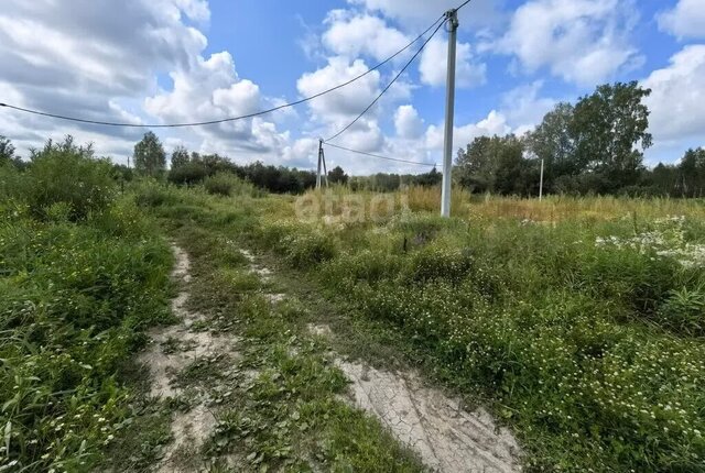 Каменский сельсовет, Берёзовая Роща фото