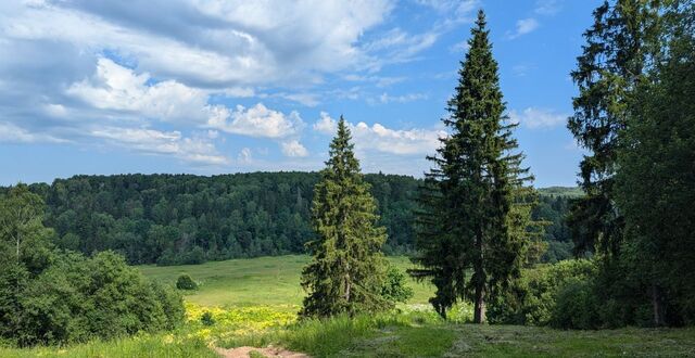 38 км, Деденево, Дмитровское шоссе фото