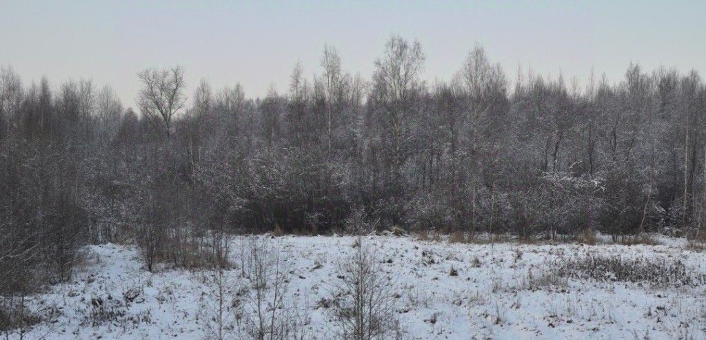 дом р-н Всеволожский массив Капитолово Бугровское городское поселение, Парнас фото 32