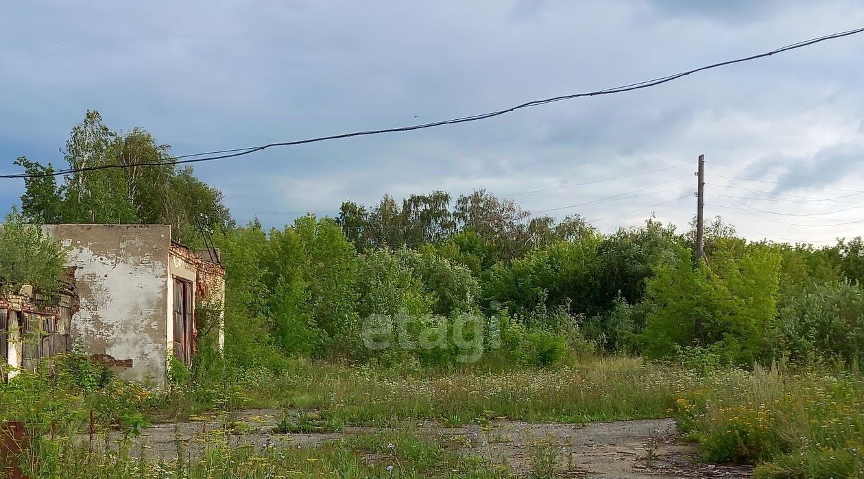 производственные, складские р-н Ишимский с Плешково ул Луговая фото 1